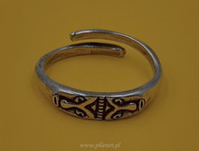 Pierścień z Krakowa, Polska