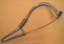 Fibula - Biskupin