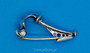 Fibula